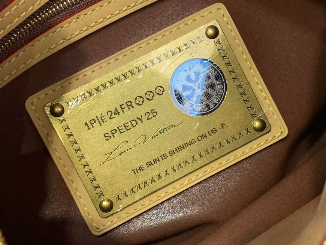 LV Speedy P9 Bandoulière 25 M13912 25x15x15cm