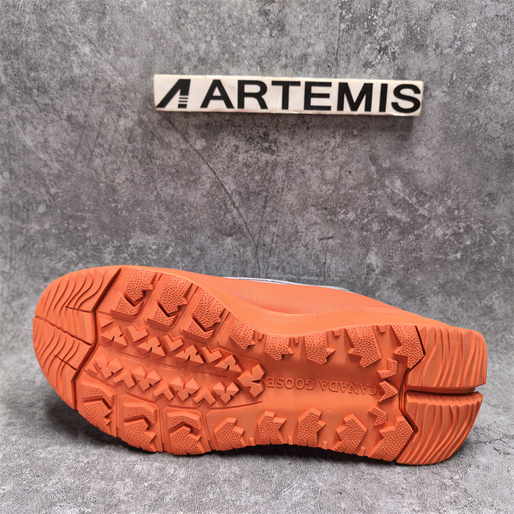 UA Can*a Go*e Glacier Trail Sneaker