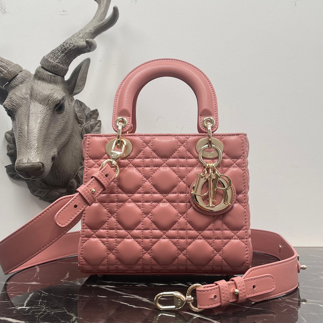 Small Lady D*0r My ABCD*0r Bag 8 x 6.5 x 3 inches