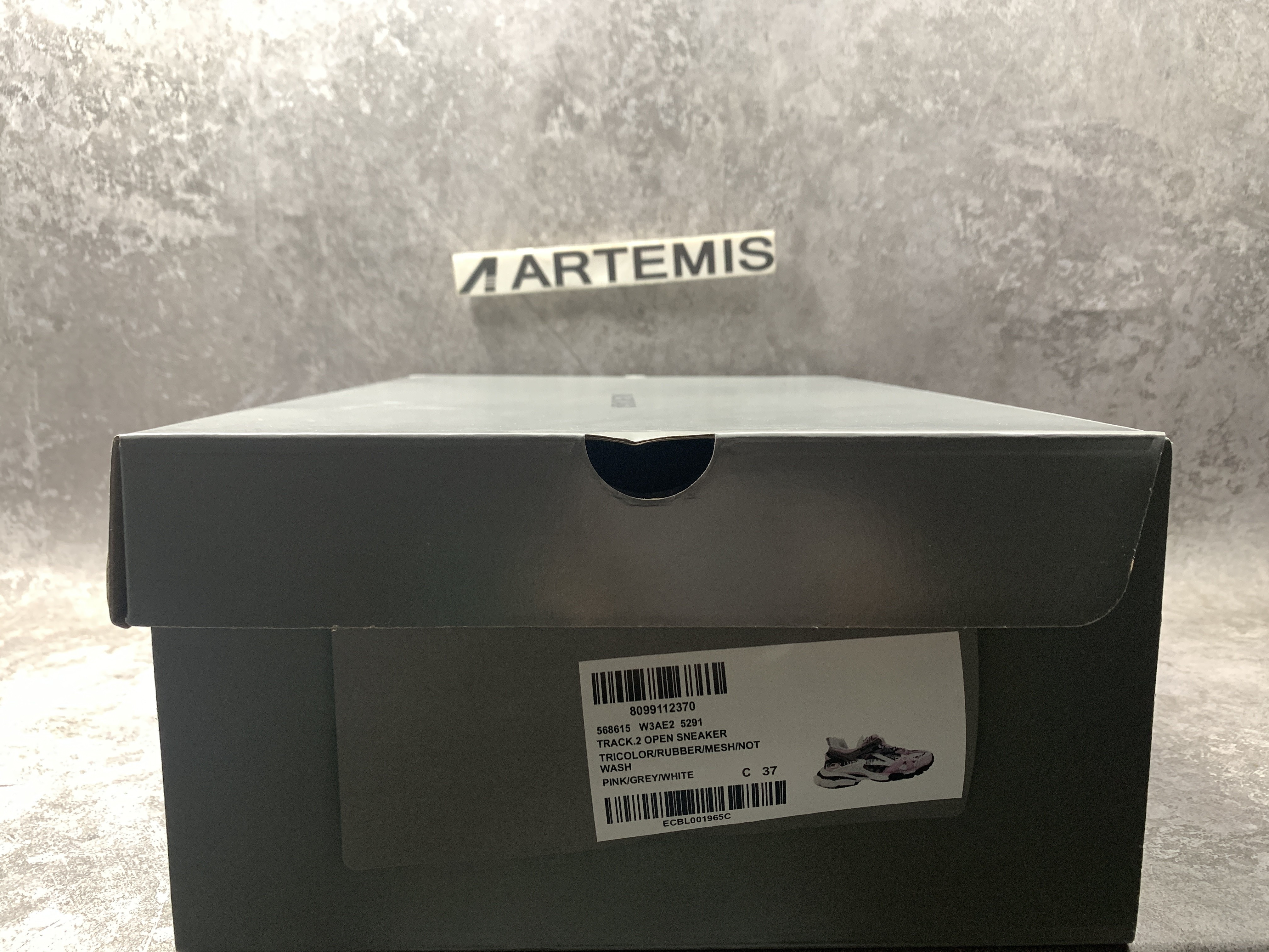 Balenciga Wmns Track.2 Sneaker Pink