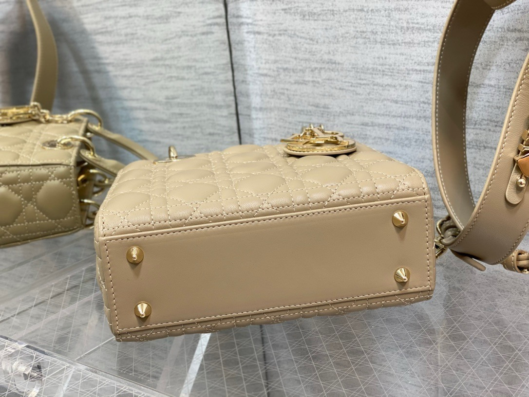 Medium Lady D*0r Bag 24 x 20 x 12 cm