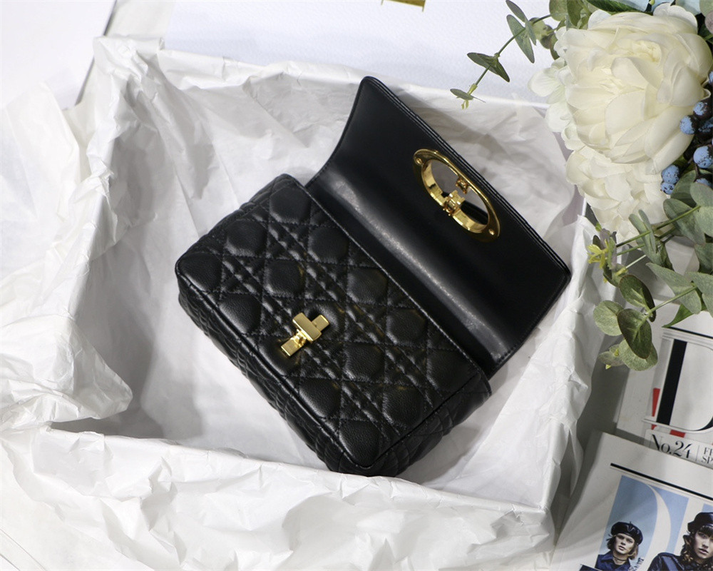 SMALL D*0r CARO BAG Black S*pple Cannage Calfskin 20 x 12 x 7 cm